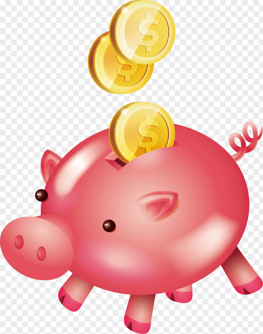 Cute Pink Piggy Bank Domestic Pig PNG