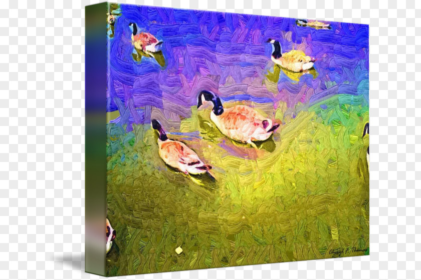 Duck Painting Fauna Ecosystem PNG