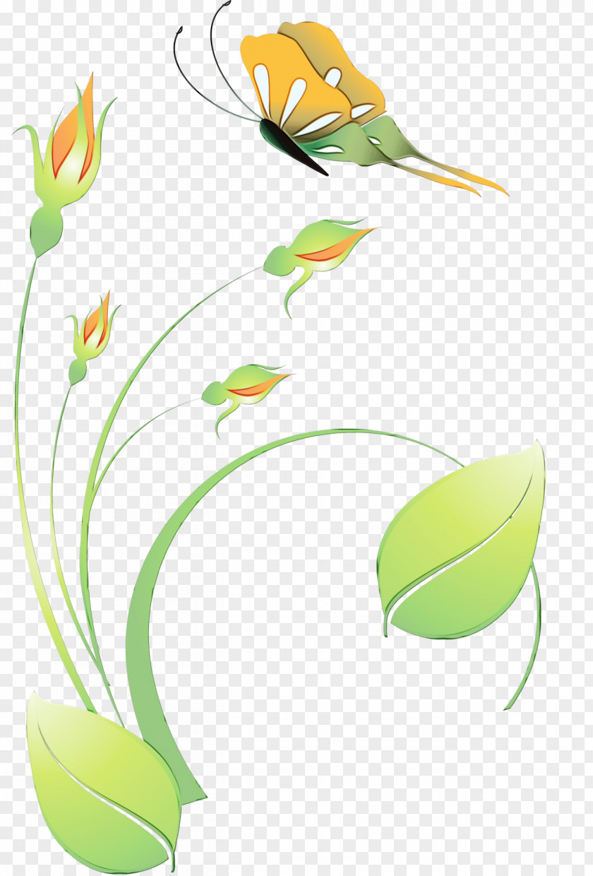 Floral Design PNG