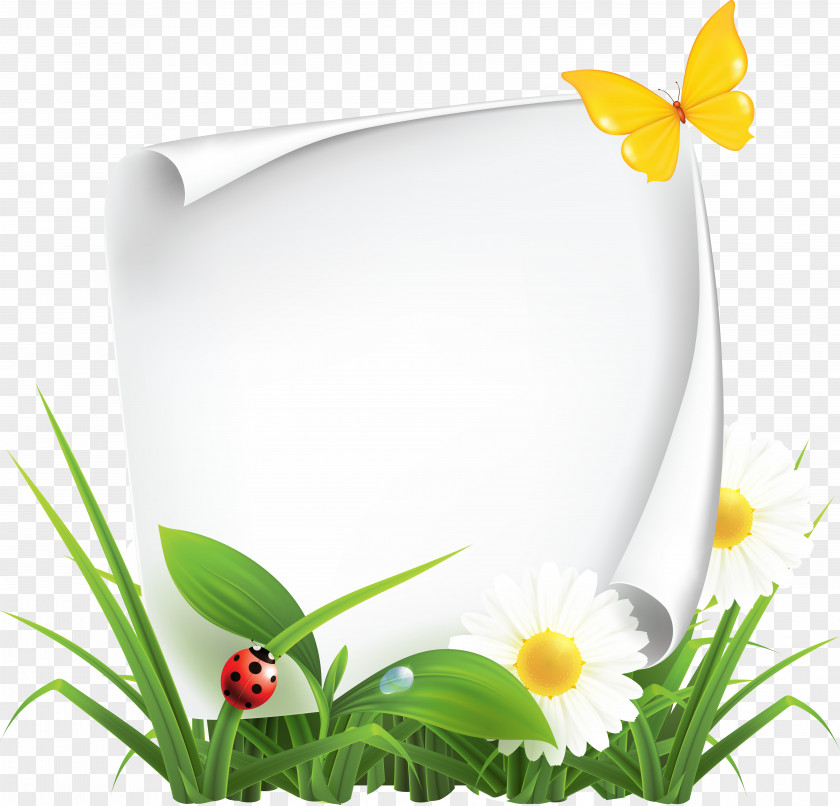 Fotoramki Illustration Vector Graphics Clip Art Image Stock Photography PNG