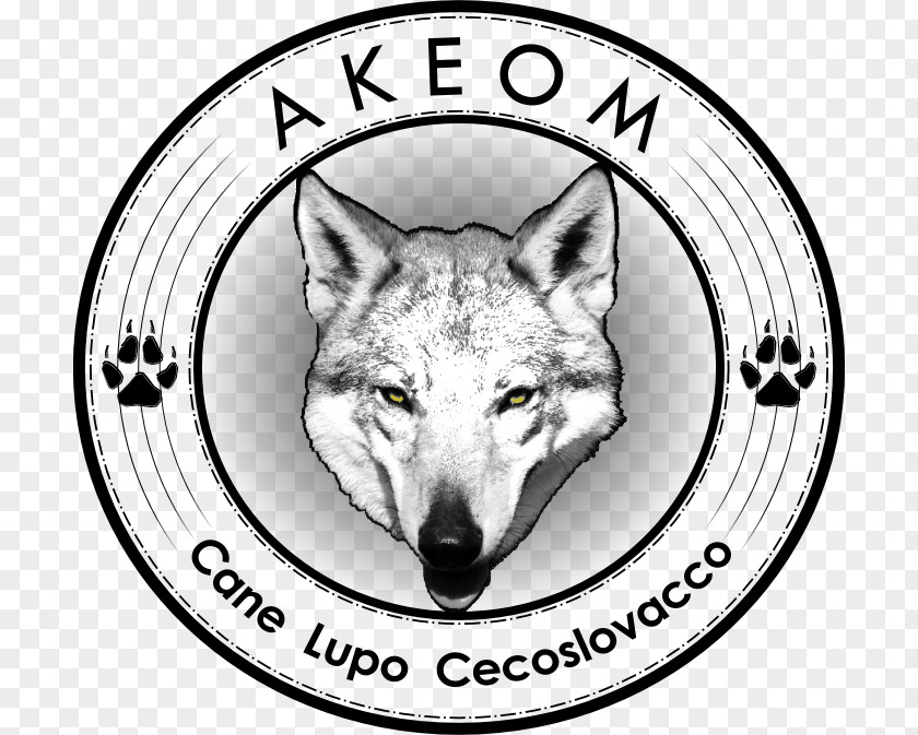 Italy Czechoslovakian Wolfdog Gray Wolf Kennel PNG