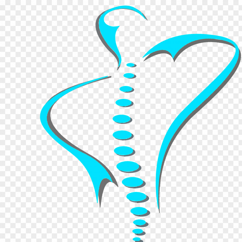 Orthodontics Clip Art Vertebral Column Illustration Chiropractic Graphic Design PNG