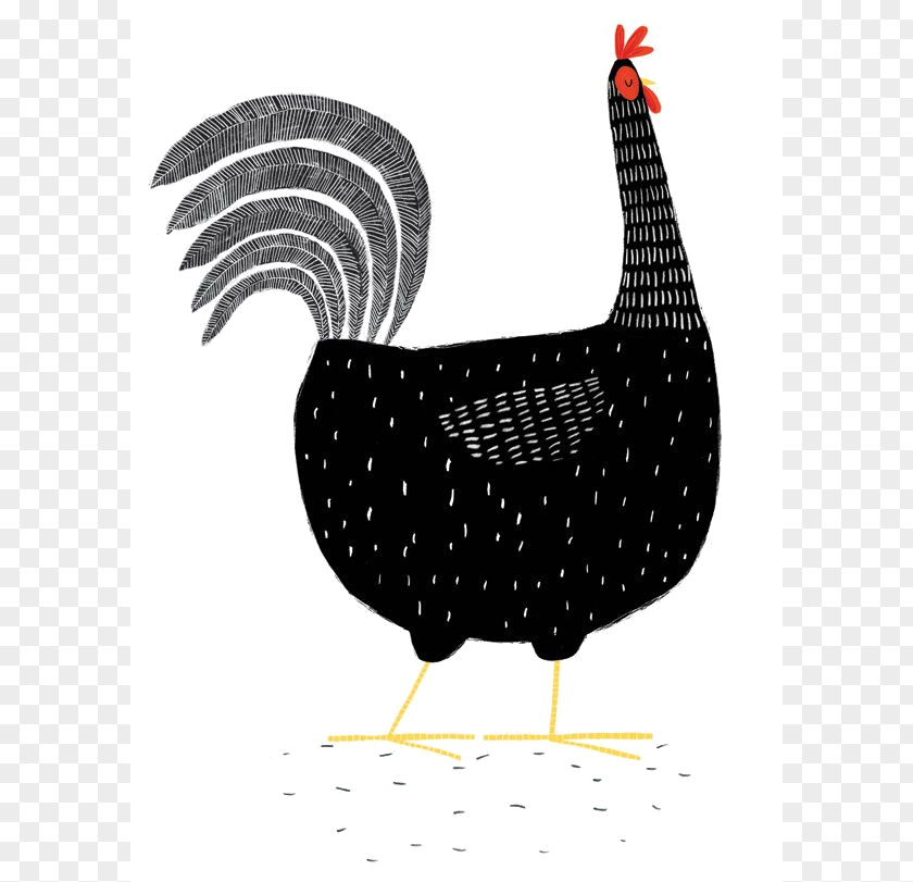 Painting Plymouth Rock Chicken Hen Drawing Illustrator PNG