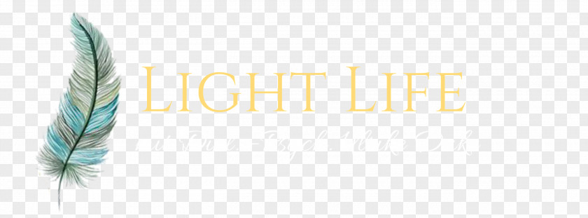 Shiny Light Logo Desktop Wallpaper Font PNG