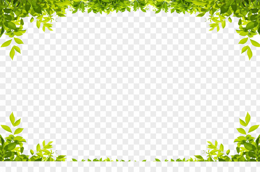 Green Frame PNG frame clipart PNG