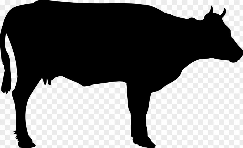 Hyena Beef Cattle Holstein Friesian Welsh Black White Park PNG