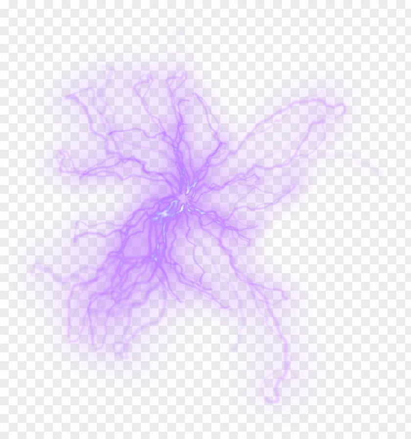 Lighting Butterfly Purple Google Images PNG