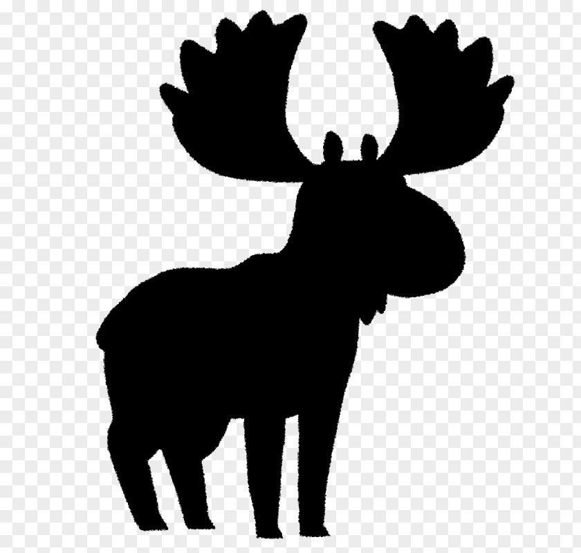 Moose Cattle Reindeer Mammal Antler PNG