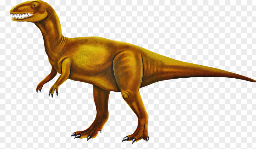 Claw Pachycephalosaurus Dinosaur PNG