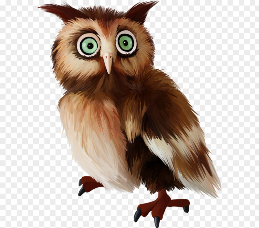 Hand-painted Owl Bird PNG