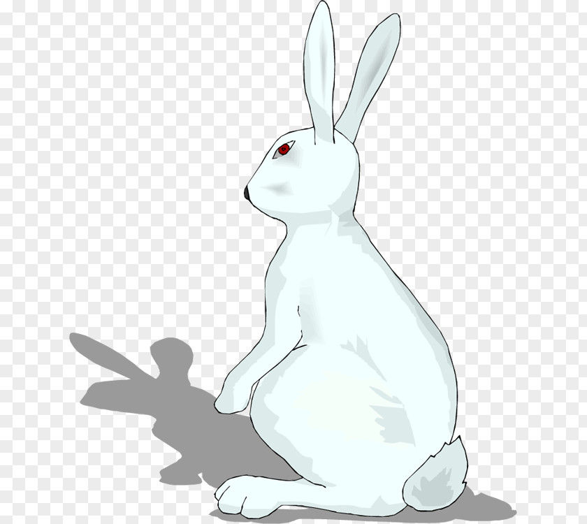 Images Rabbit Domestic Easter Bunny Hare Wildlife PNG