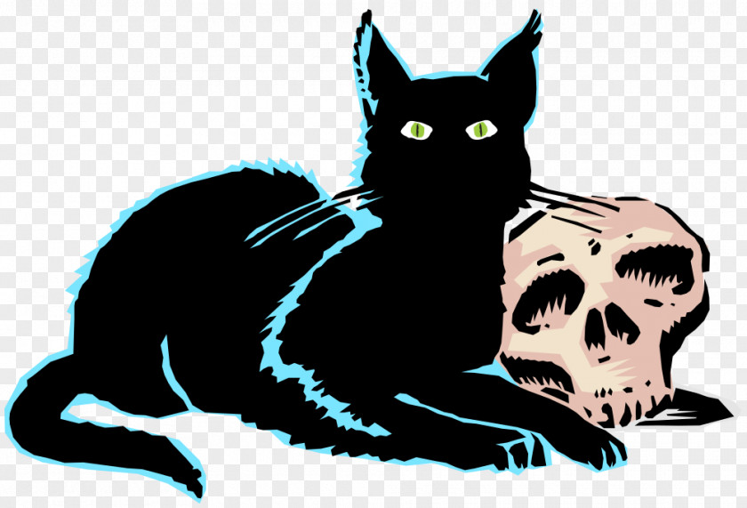 Kitten Whiskers Black Cat Clip Art PNG