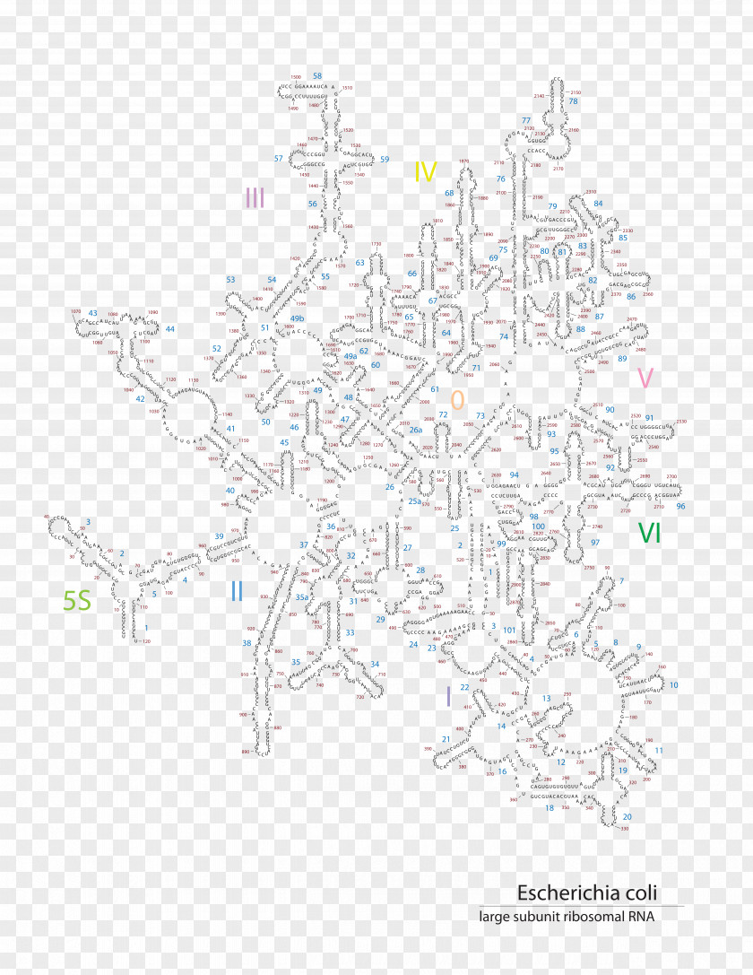 Map Tree Pattern PNG