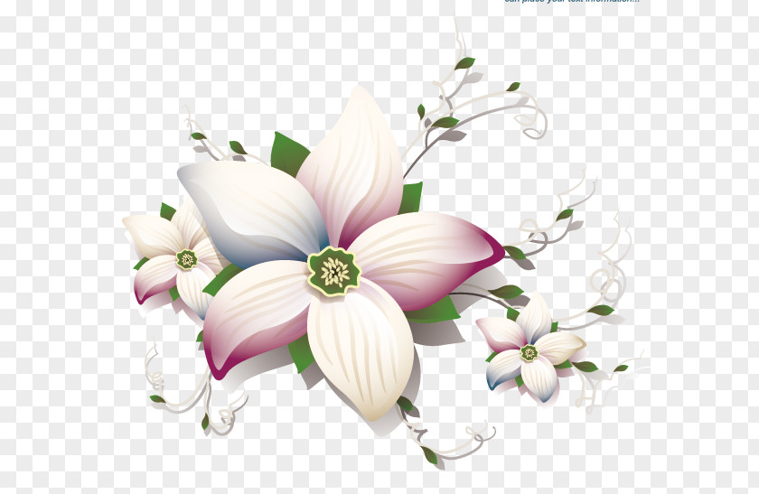 Vector Floral Material Flower Drawing PNG