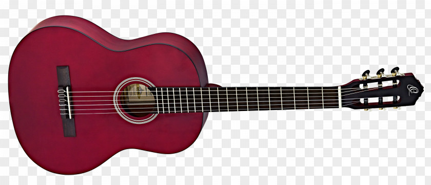 Amancio Ortega Acoustic Guitar Musical Instruments Classical Neck PNG