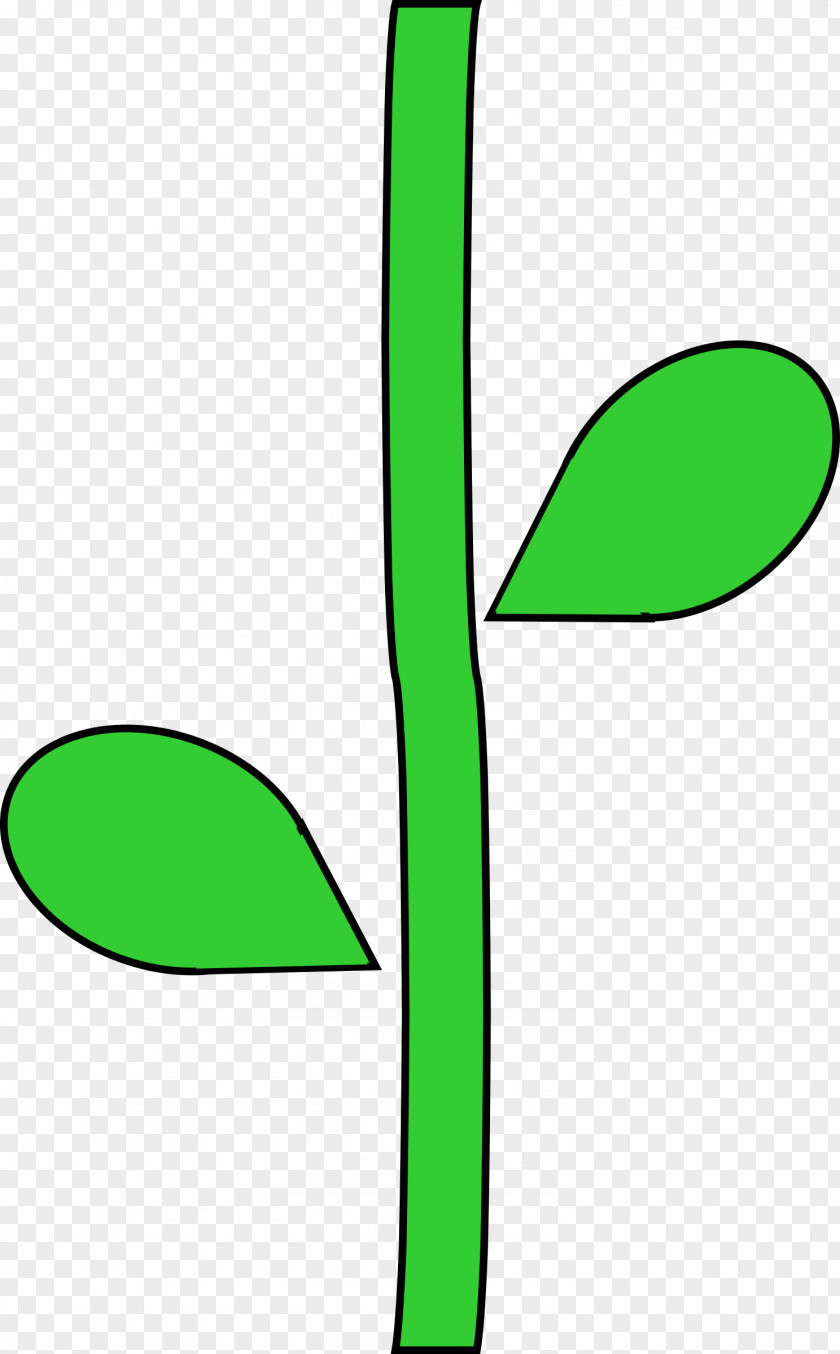 Boho Arrow Plant Stem Flower Clip Art PNG