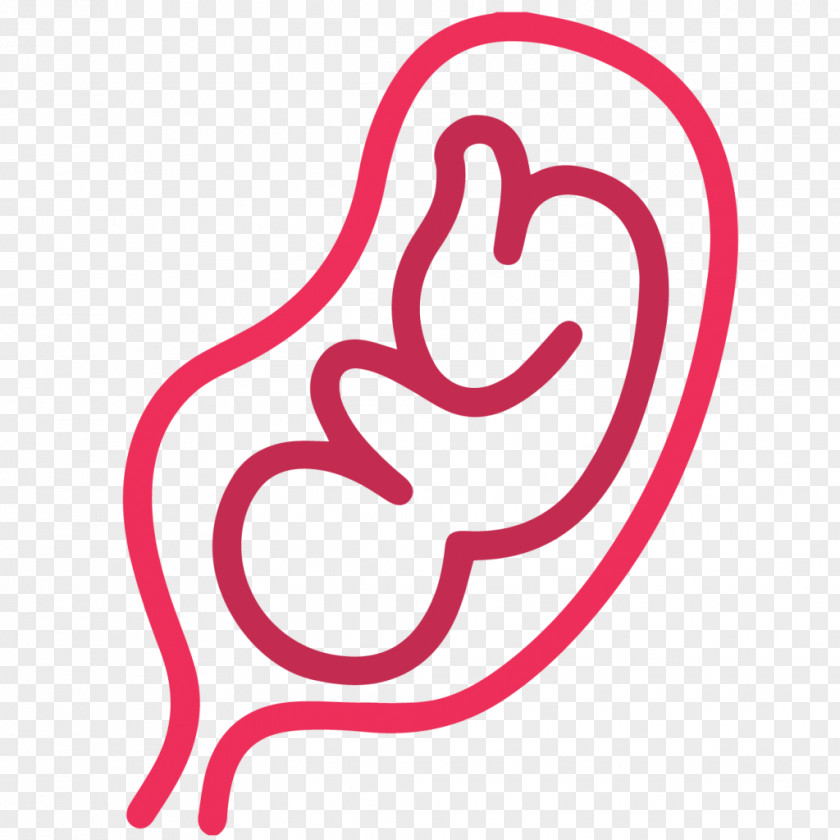 Child Uterus Fetus In Vitro Fertilisation PNG