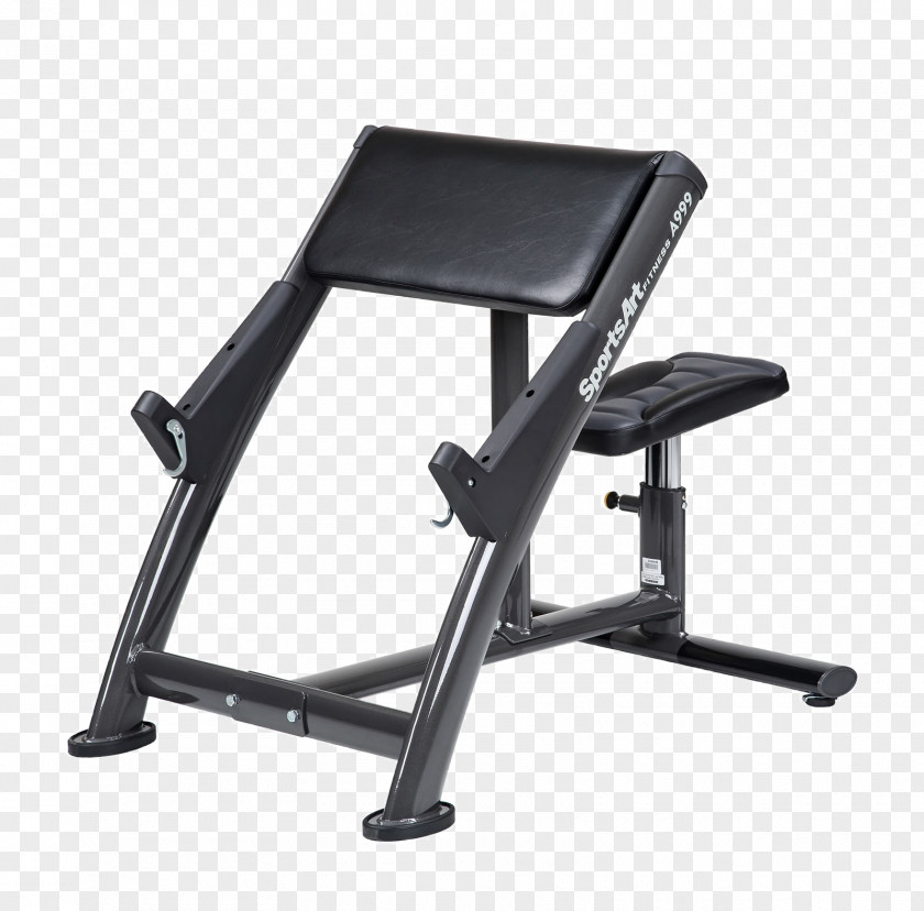 Curl Bench Exercise Equipment Fitness Centre Strength Training Physical PNG