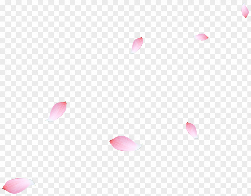 Falling Petals Petal Heart Pattern PNG