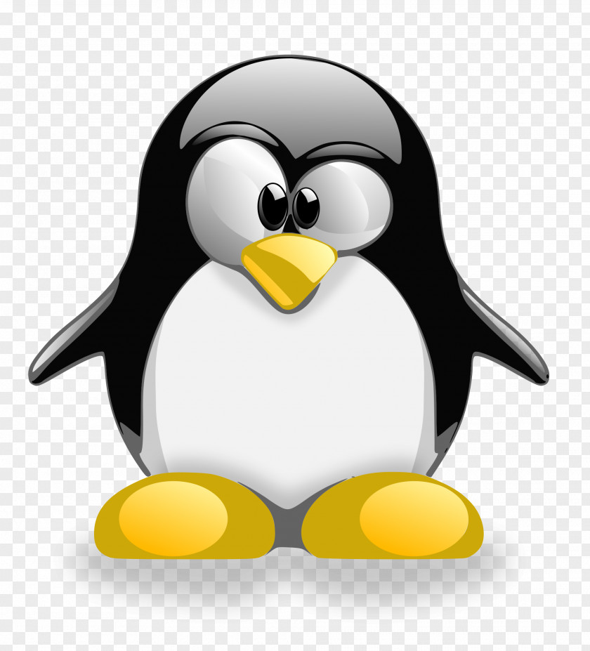 Linux Tux Racer Penguin Distribution PNG