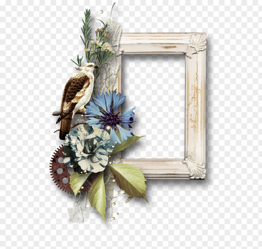 Quadros Floral Design Cut Flowers Wreath Picture Frames PNG