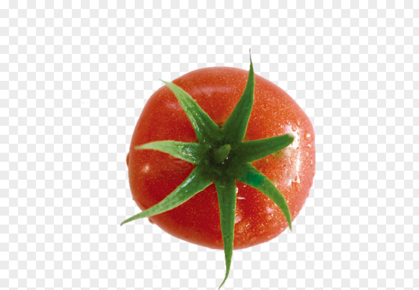 Vegetable Tomato Cherry Food Clip Art PNG