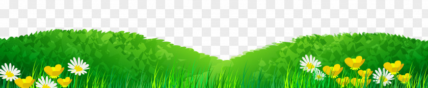 Fresh Green Grass Lawn PNG