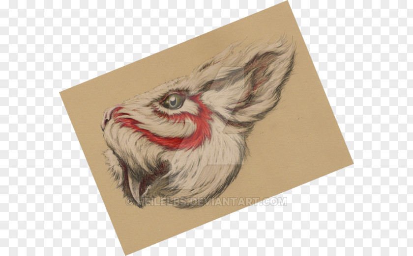 Rabbit Of Caerbannog Paper Drawing Rooster /m/02csf PNG