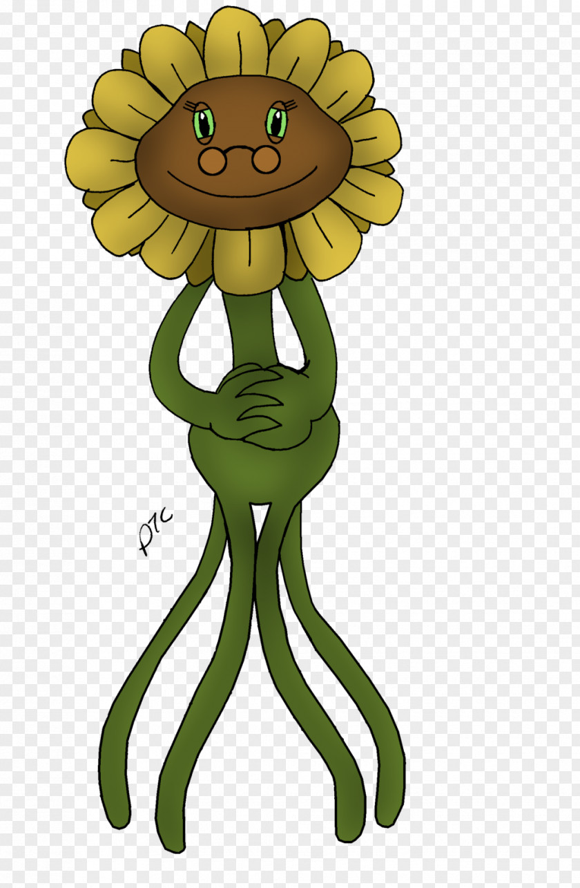 Sunflower Plants Vs. Zombies 2: It's About Time Zombies: Garden Warfare 2 Common PNG