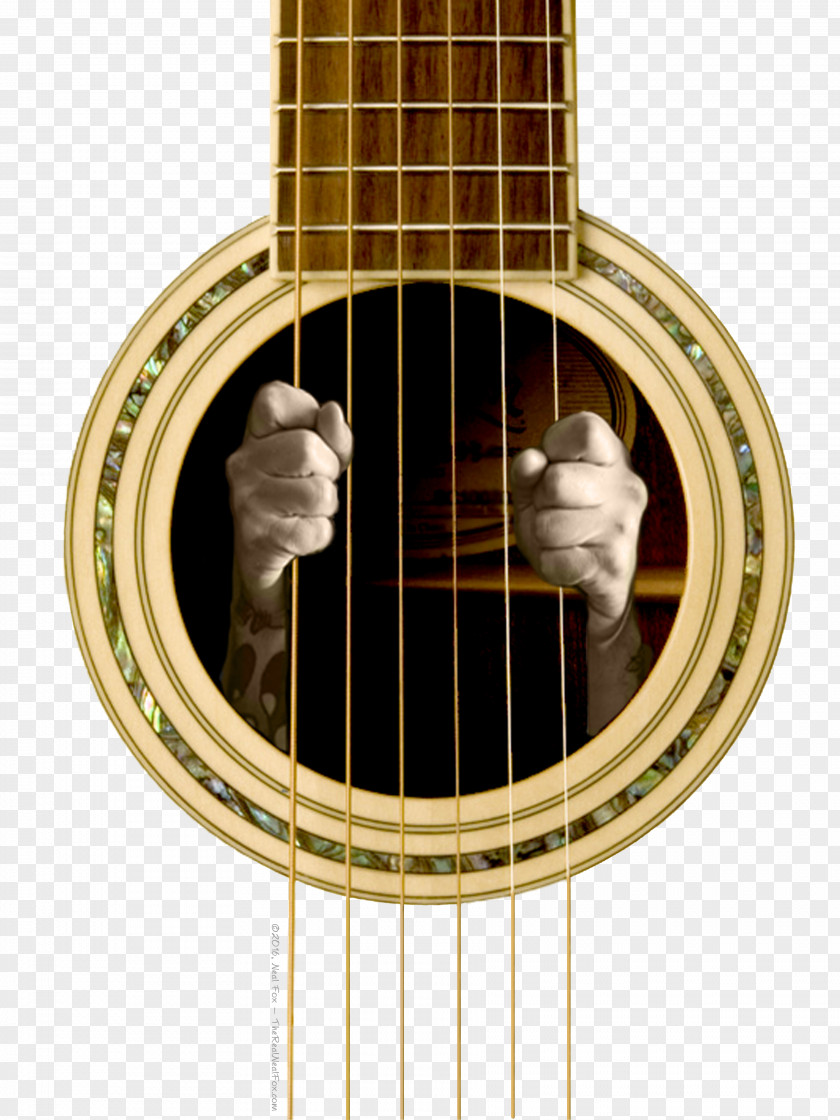 Acoustic Guitar T-shirt Musical Instruments PNG