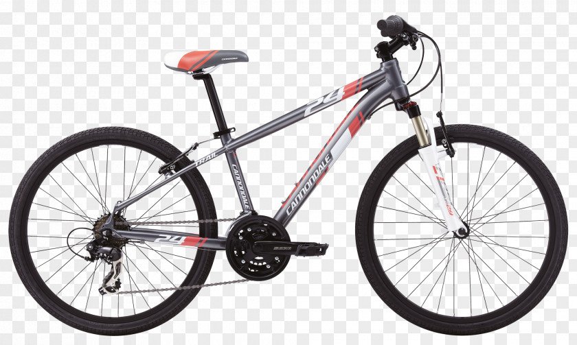 Bicycle City Guelph Mountain Bike Avanti PNG