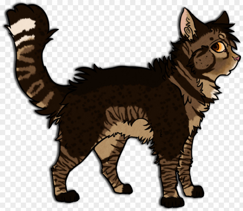 Cat Whiskers Wildcat Fur Paw PNG