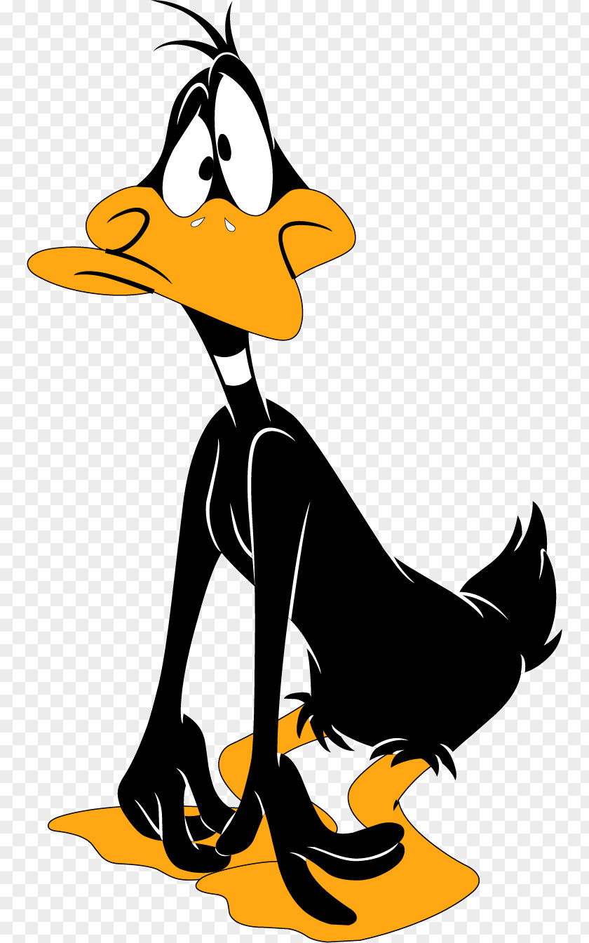 Daisy Duck Daffy Donald Bugs Bunny Porky Pig PNG