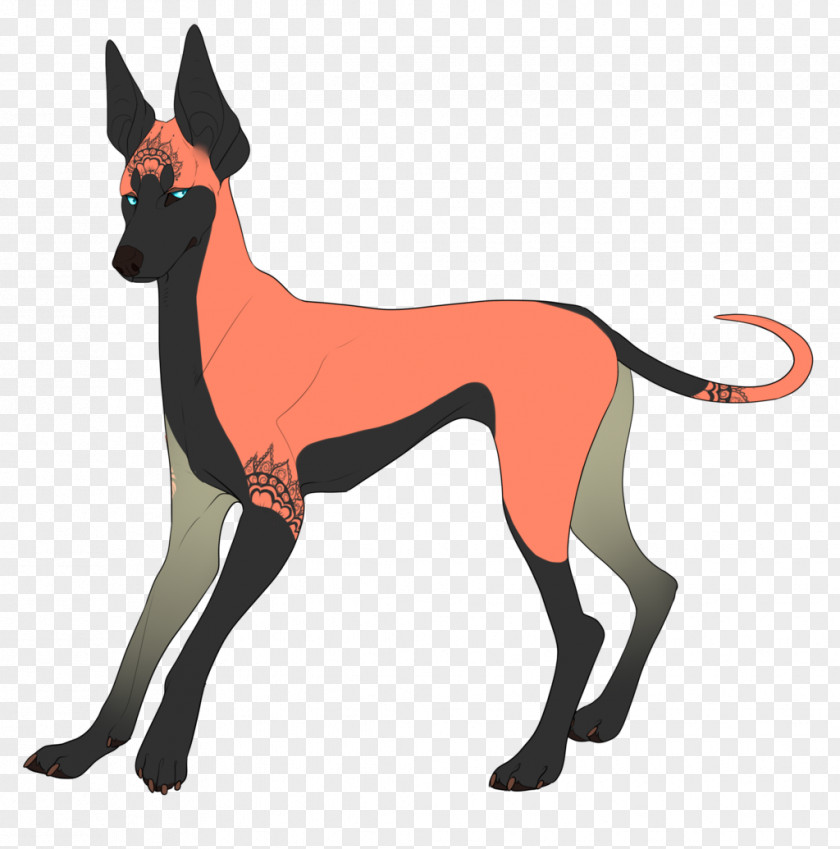 Dog Breed Italian Greyhound Leash PNG