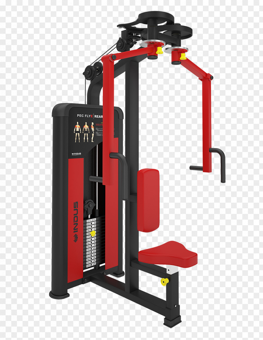Gym Flyer Fitness Centre Machine Fly Indus Equipment Weight Training PNG