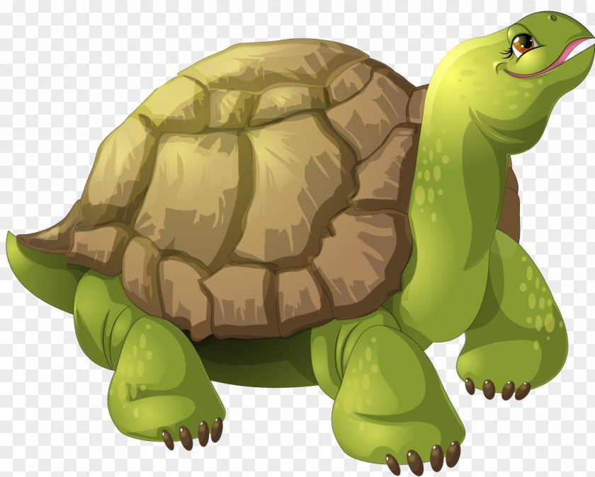 Turtle Animation PNG