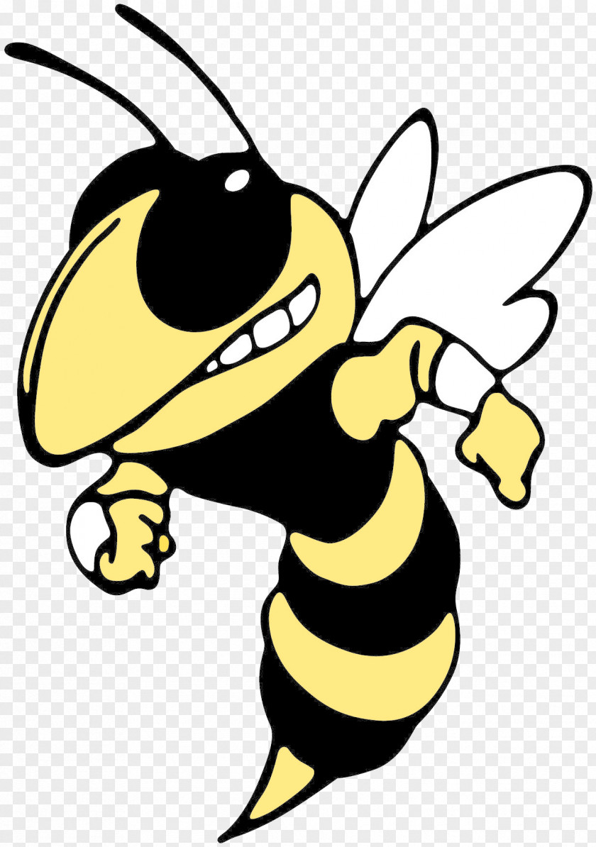 Yellowjacket Georgia Institute Of Technology Sprayberry High School Tech Yellow Jackets Baseball PNG