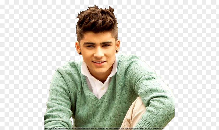 Zayn Malik Hairstyle Male Updo PNG