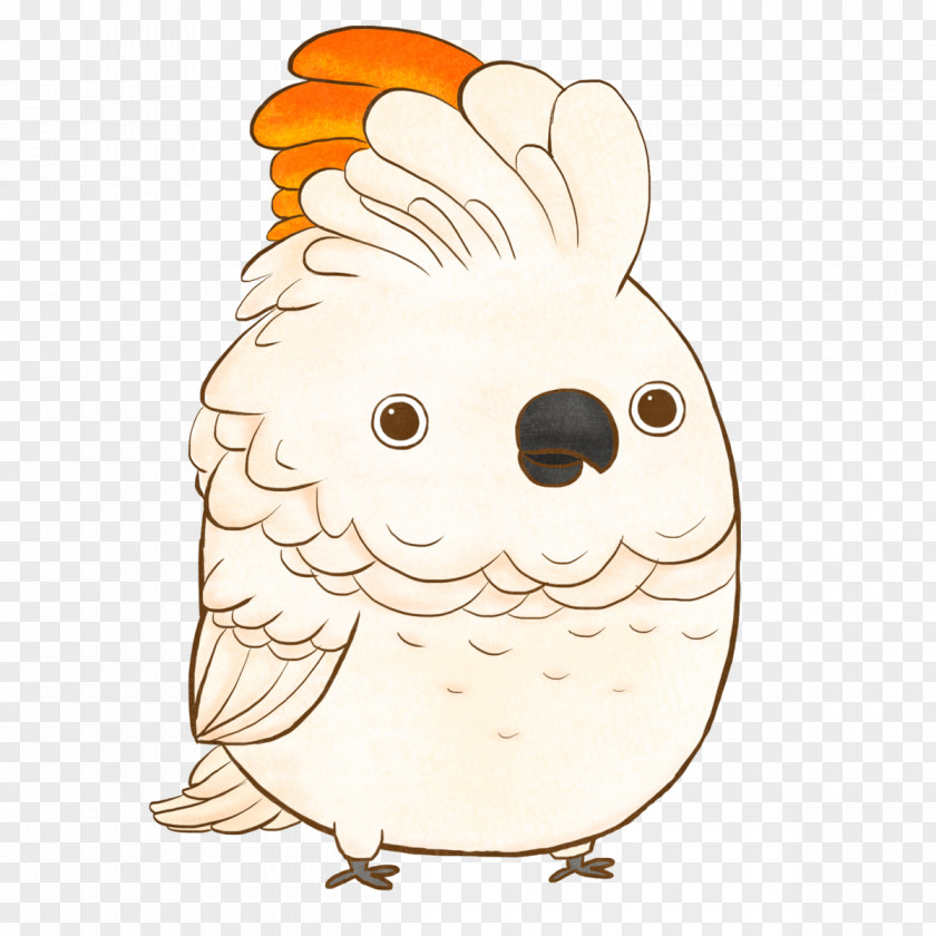 Chicken The Chubbies Bird Owl Cockatoo PNG