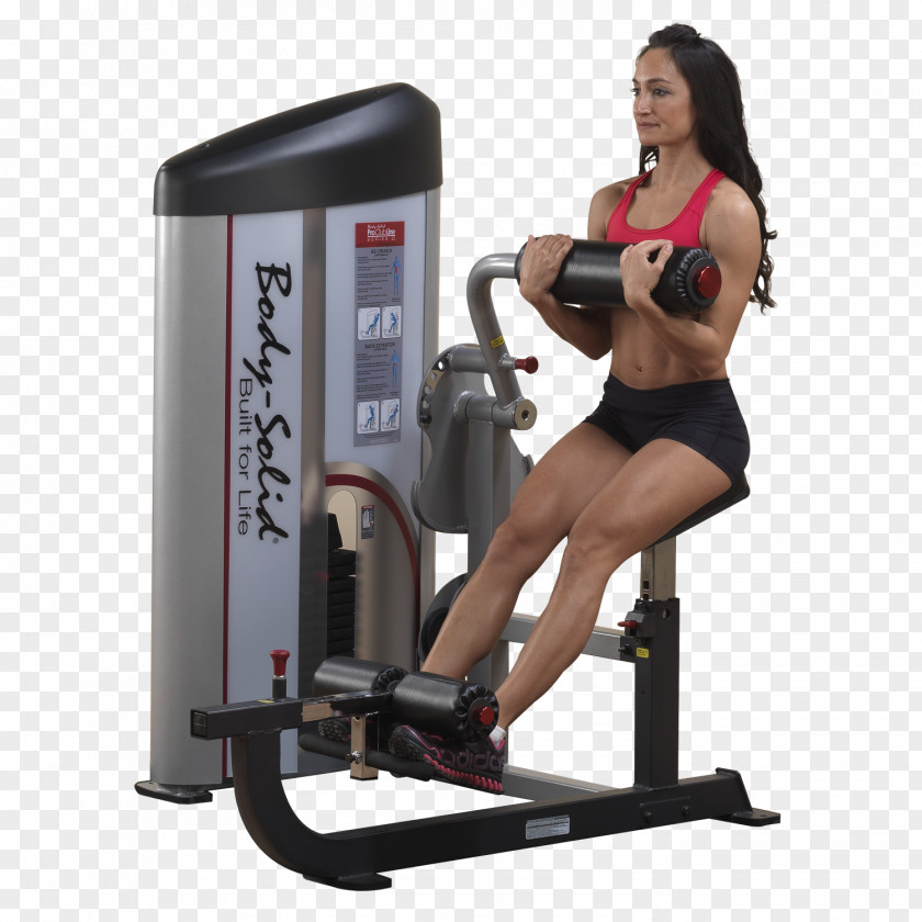 Crunch Exercise Machine Row Bench PNG