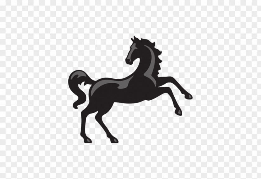 Equestrian Helmet Lloyds Bank Finance HBOS LSE PNG