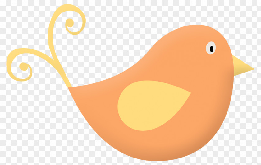 Orange Bird Duck Amber Clip Art PNG