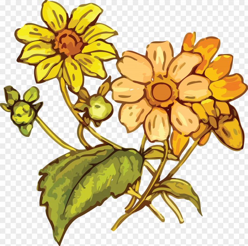 Flower Cut Flowers Floral Design Drawing Clip Art PNG