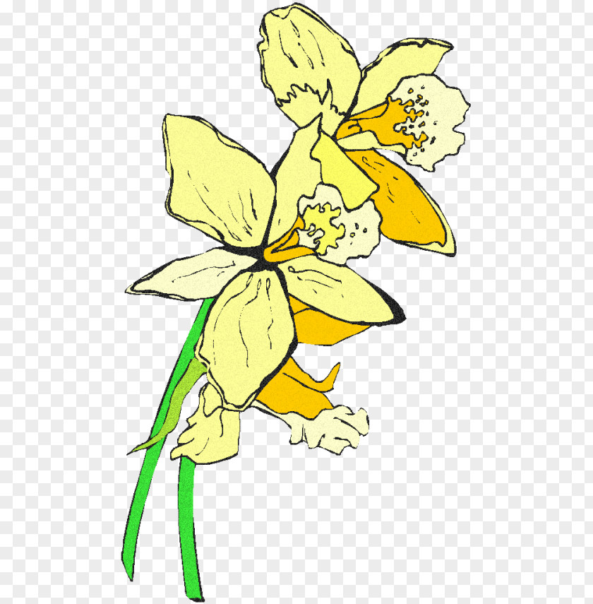 Flower PNG