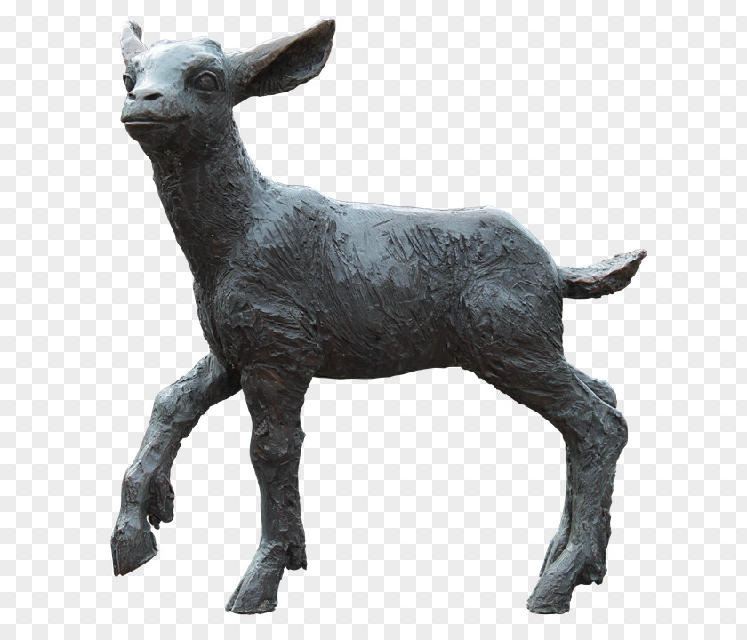Sheep Image Download Vector Graphics PNG