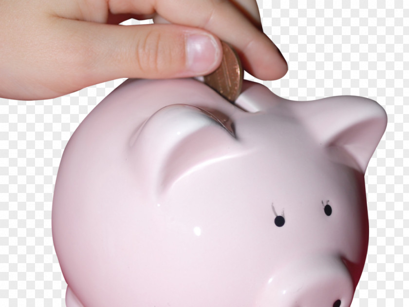 Bank Piggy Savings Money PNG