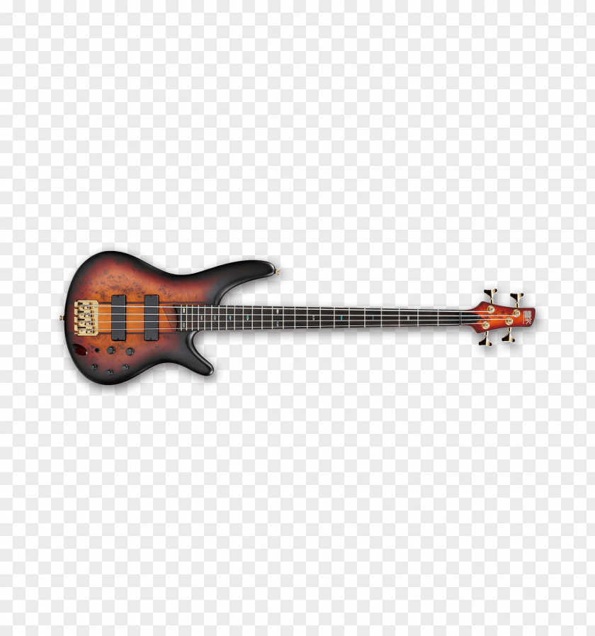Bass Guitar Ibanez Musical Instruments String PNG