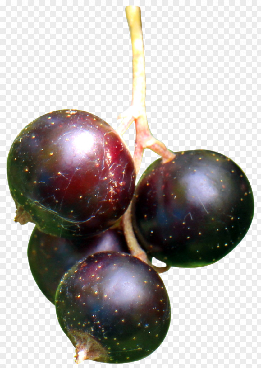 Black Currant Berries Blackcurrant Frutti Di Bosco Grape Fruit PNG