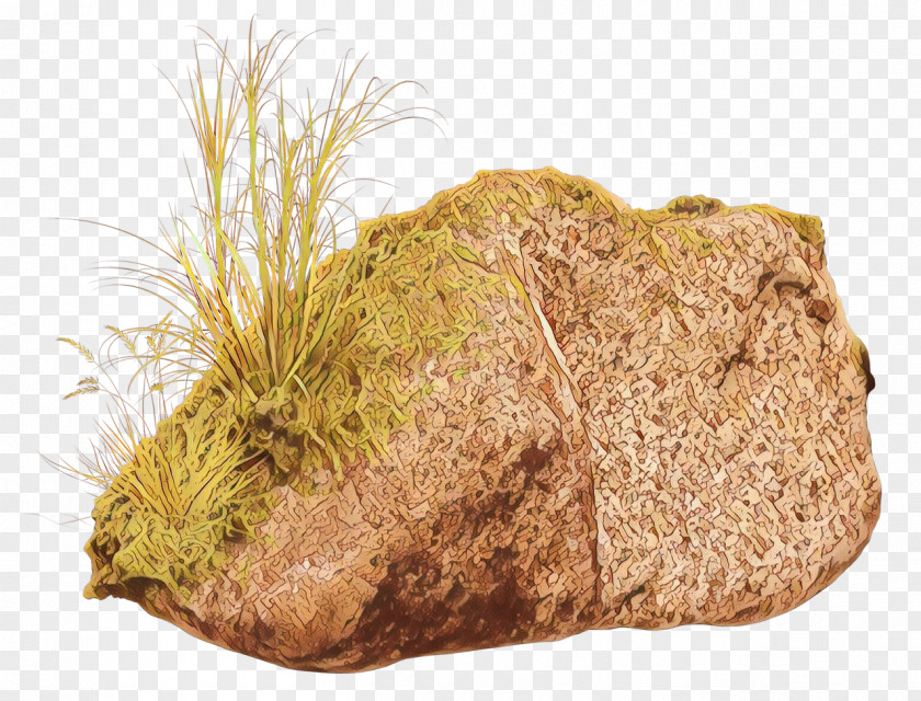 Rock Grass Cartoon PNG