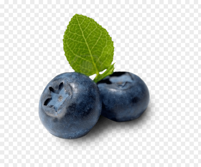 Blueberry Jamian's Food And Drink European Berries PNG